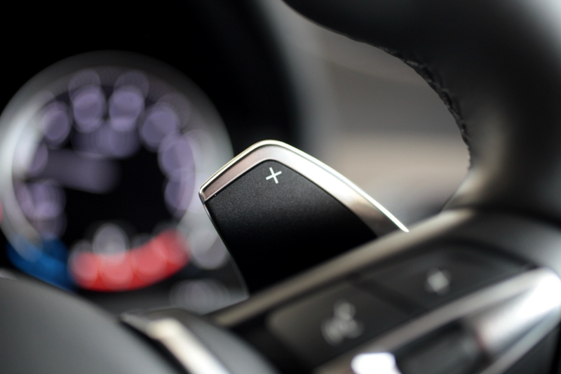 Paddle-shifters a standard feature
